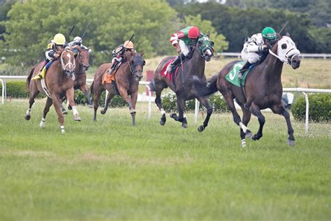 horseprerace com|current thoroughbred racing news.